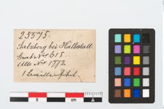 Etikett zu Bronzebrillenfibel (NHMW-PRAE-025575)